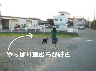 DSC06424-1.JPG
