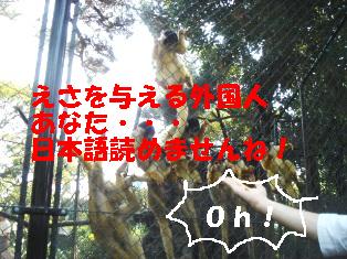 DSC05470-3.JPG