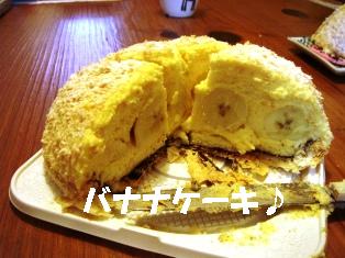 DSC04351-2.JPG