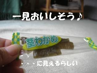 DSC06717-1.JPG