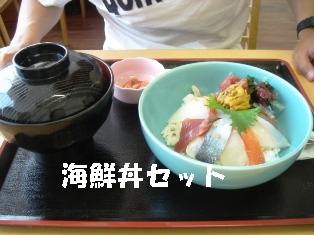 DSC05610-1.JPG