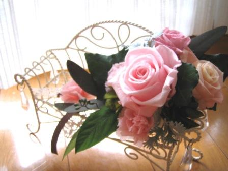 IMG_0657.JPG