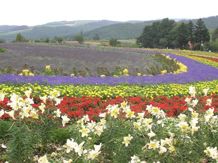 ゼルブの丘にて２