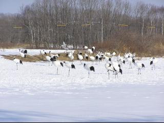 こんなにたくさん