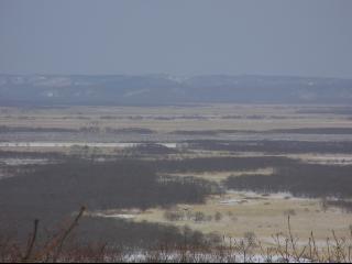 釧路湿原