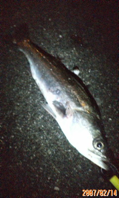 20070214231334.jpg