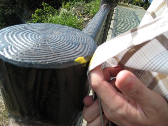 マスタード事件