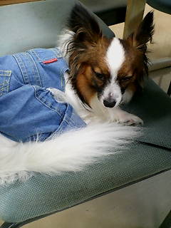 うとうとラン。