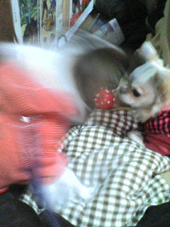 スケぞうとラン。