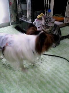 殴られました。