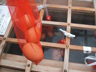 DSCF1417.JPG