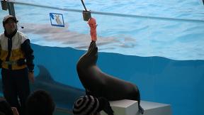 IMG_2042.JPG