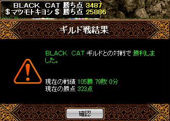 黒猫.jpg