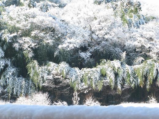 雪景色 6