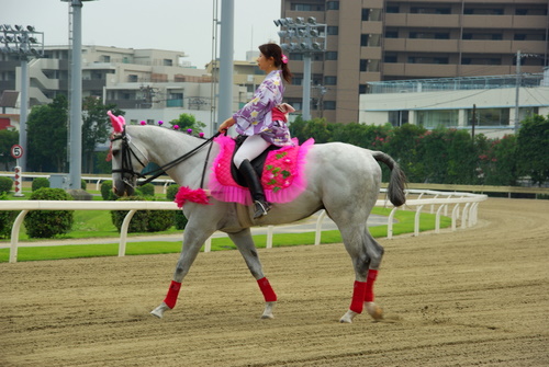20080714川崎競馬場の誘導馬