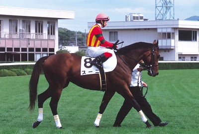 プロの目 の記事一覧 南関東４場を含む地方競馬全場のインターネット投票 楽天競馬からのお知らせ 楽天ブログ