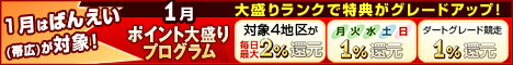 2011年01月-大盛りプログラム！