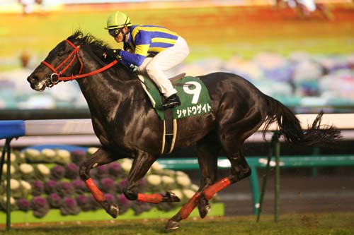 プロの目 の記事一覧 南関東４場を含む地方競馬全場のインターネット投票 楽天競馬からのお知らせ 楽天ブログ