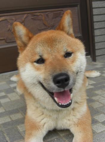 こんな顔かなっ！？