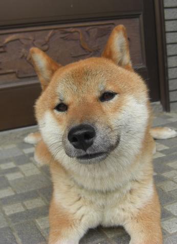 それとも　こんな顔！？