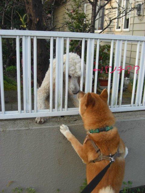 で　でかい(゜o゜)