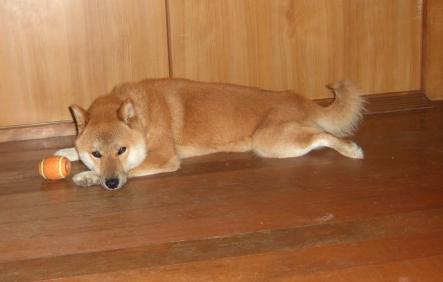 何か言うた～！？