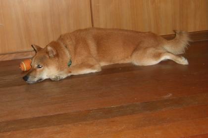 別にええけど。。。