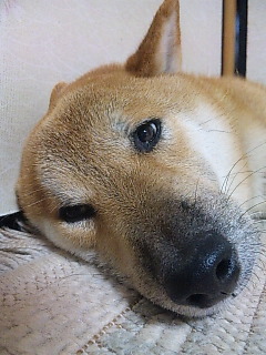 何の事ですか～？？