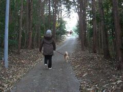 神社への山道