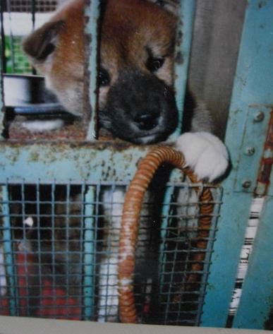 出して～～！！