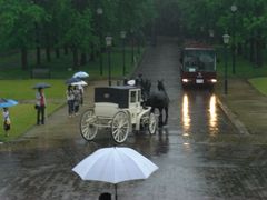 雨のシンデレラ