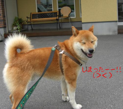 また　ここぉ～！？