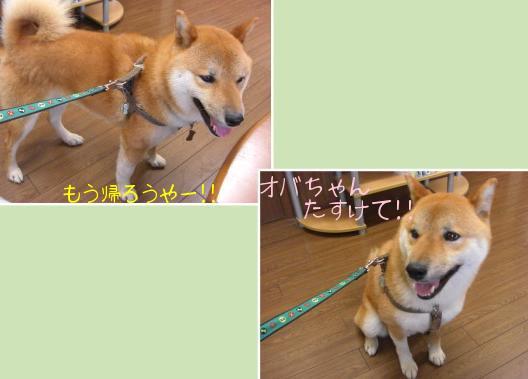 帰りたいよ～！！