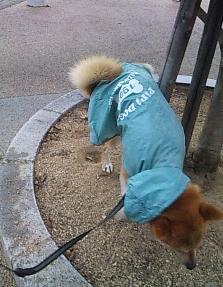 雨の日も。。。
