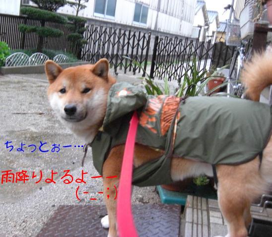 ためらいの午後