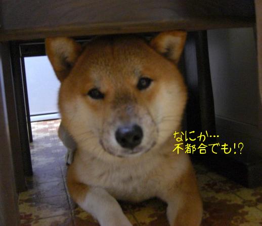 水がしたたると。。。