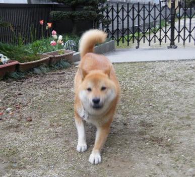 ごっきげ～ん♪