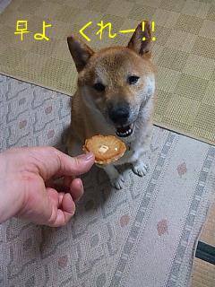 らぶらぶ光線～～♪