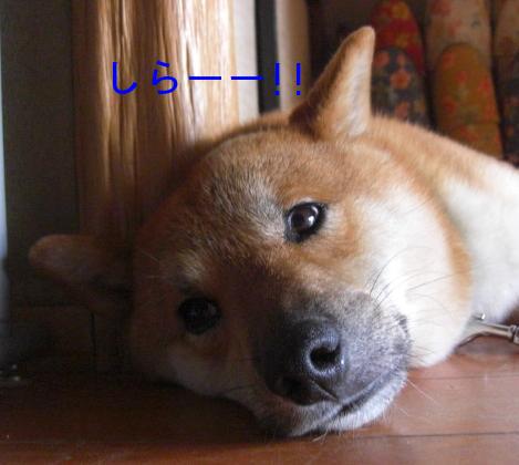 この暑いのに～!!