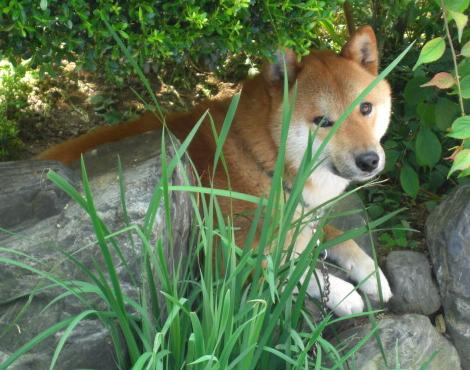 何も知らんと。。。