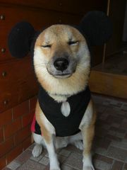 なんで　ねずみ～！？