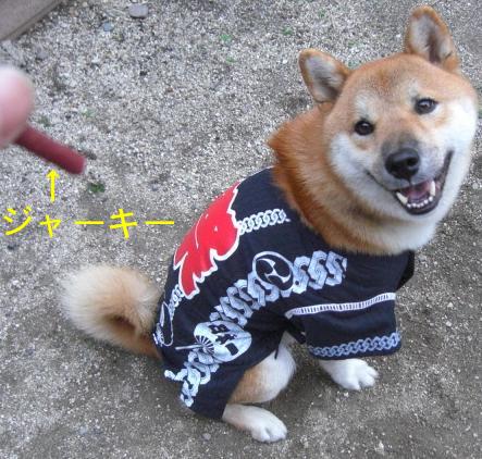 お祭りより　こっち!!