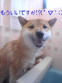 へたれでごめんね～！！