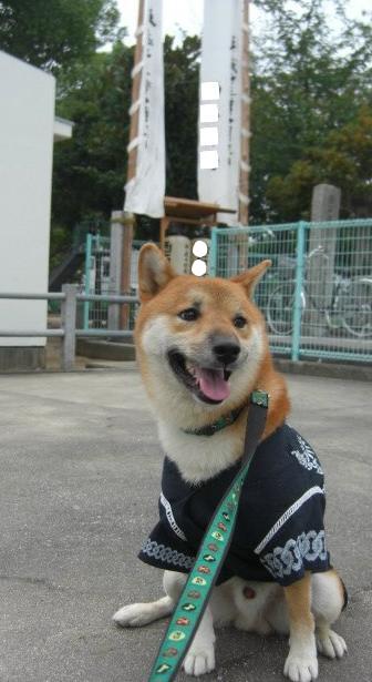 お祭りかも！？