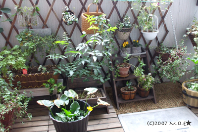 DSCF1672.JPG