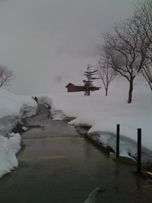 20100120玉川温泉自然探求路（２）