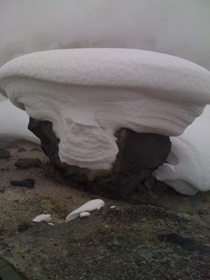 20100120玉川温泉自然探求路（８）