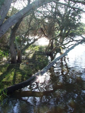 Canning Reginal Park 1.JPG