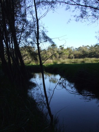 Canning Reginal Park 15.JPG