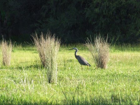 Canning Reginal Park 20.JPG